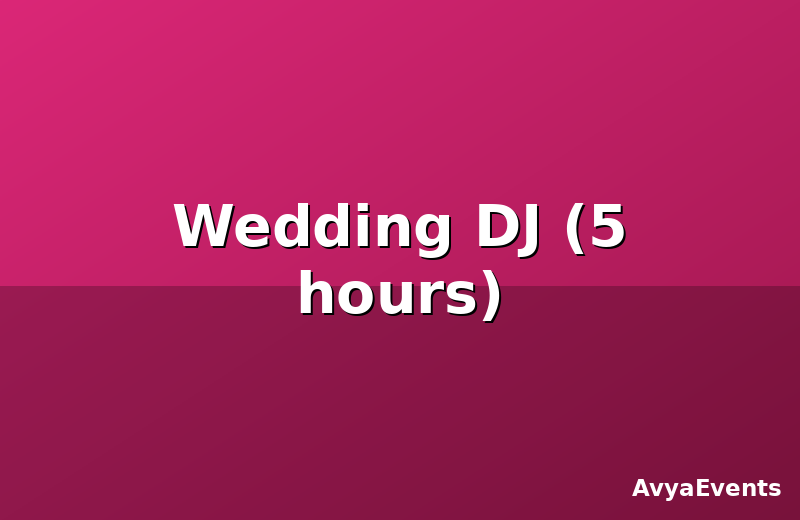 Wedding DJ (5 hours)