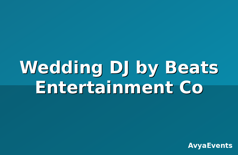 Wedding DJ by Beats Entertainment Co